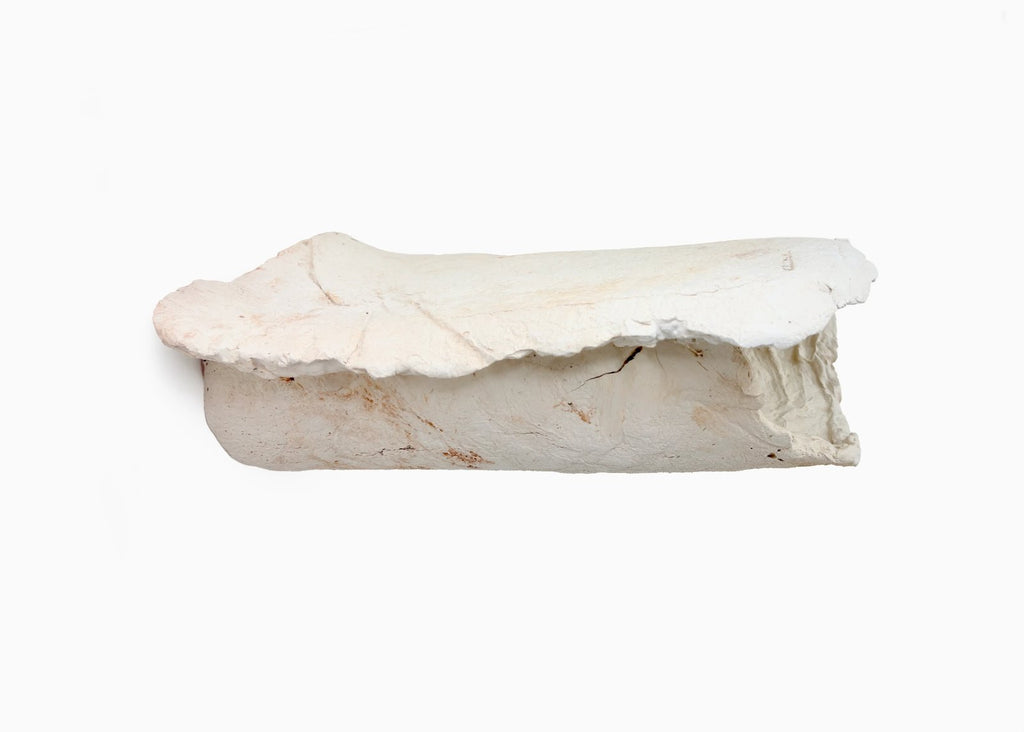 Escultura Metamorfosis · vista 6