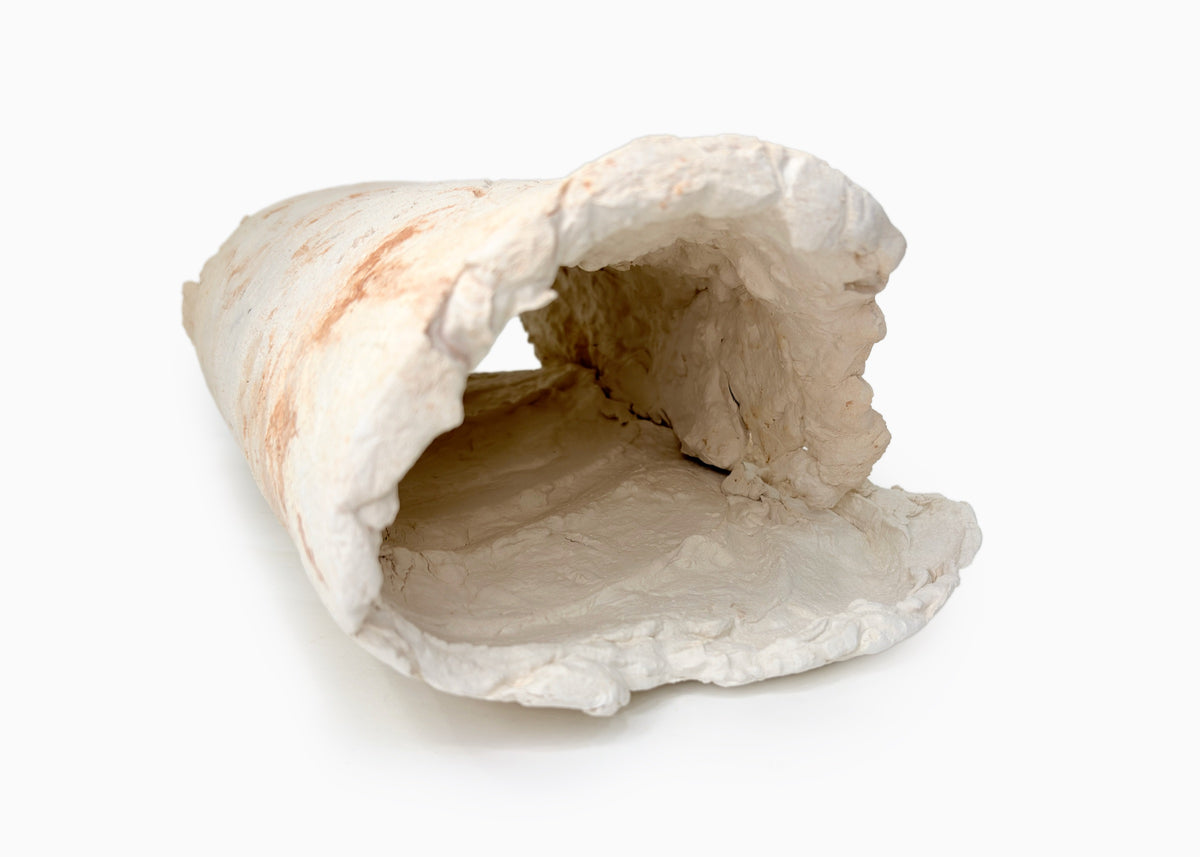 Escultura Metamorfosis